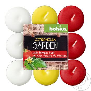 Bolsius Citronella Tomato Tablets Candles 4g 18pcs - buy, prices for Tavria V - photo 1