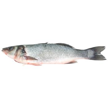 Fish seabass european fresh - buy, prices for Tavria V - photo 1