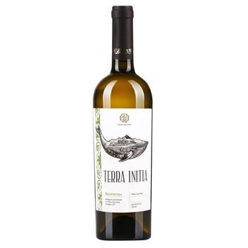 Terra Initia Rkatsiteli White Dry Wine 12.5% 0.75l - buy, prices for Chudo Market - photo 2