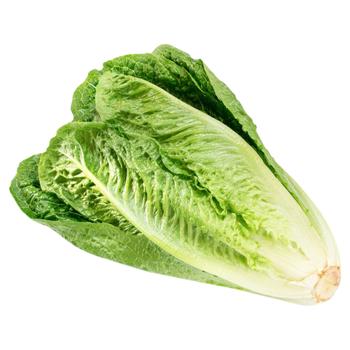 Romaine Salad