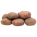 Young Pink Potatoes