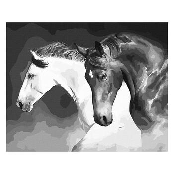 Ideyka Black and White Power Painting by Numbers 40x50cm - buy, prices for - photo 1