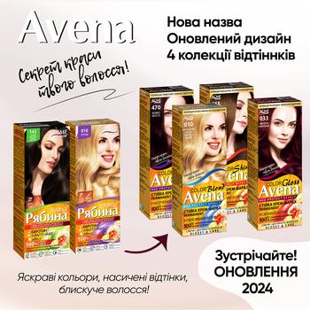 AVENA Rich Color 043 Dark Chestnut Permanent Cream Hair Dye - buy, prices for Tavria V - photo 4