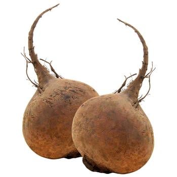 Trostynka Young Farmer's Beet