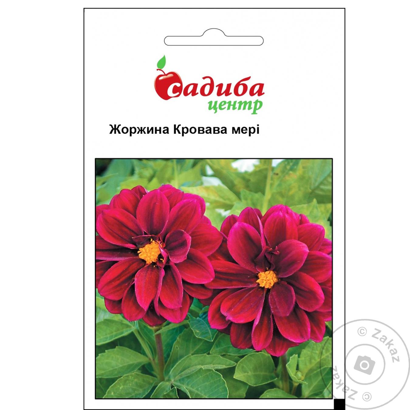 

Семена Усадьба Центр георгин кровавая мери 0.1г