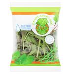 Puchok-Svizhachok Mini Iceberg Mix Lettuce 75g
