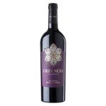 Creencia con Juventud Red Dry Wine 15% 0.75l
