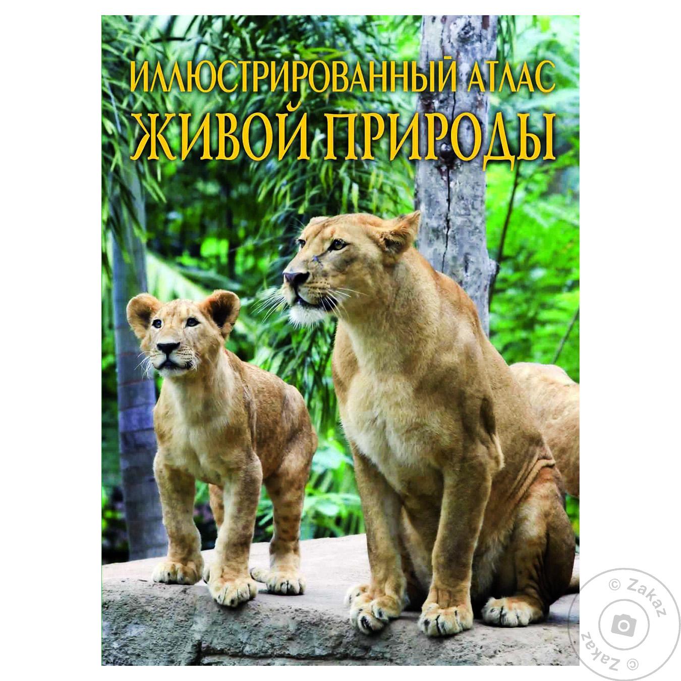 

Книга БАО Иллюстрированный атлас ЖИВОЙ ПРИРОДы 936-173