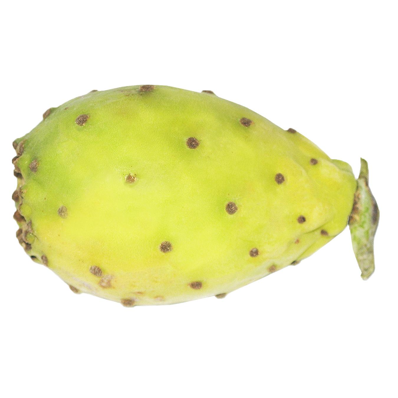 

Плод кактуса шт