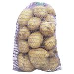 Packed Potatoes in Nets