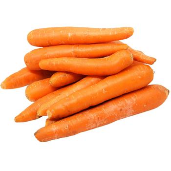 Washed Carrot - buy, prices for NOVUS - photo 1