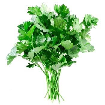 Parsley - buy, prices for - photo 1