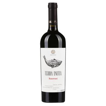 Вино Terra Initia Banovani червоне напівсолодке 12,5% 0,75л - купити, ціни на NOVUS - фото 1