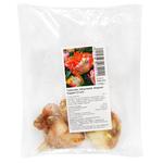 Цибулини Тюльпан папуговий Апрікот Паррот 3шт