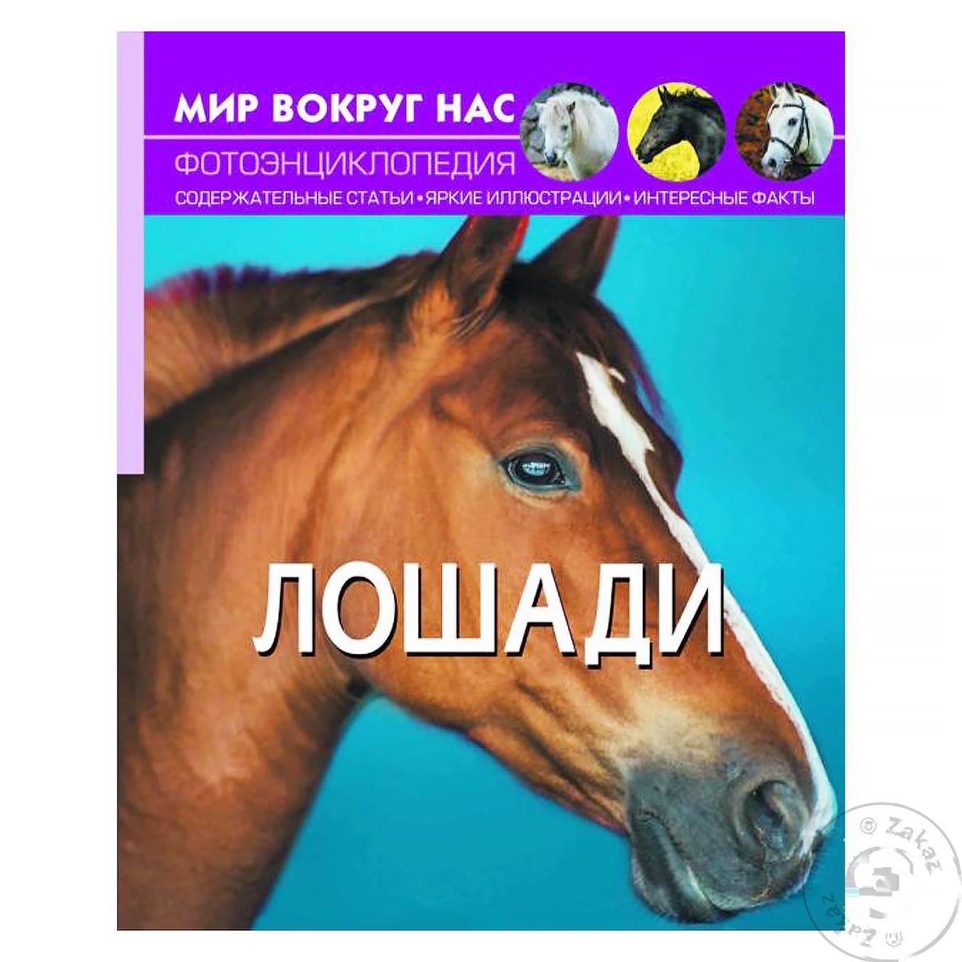 

Книга Лошади