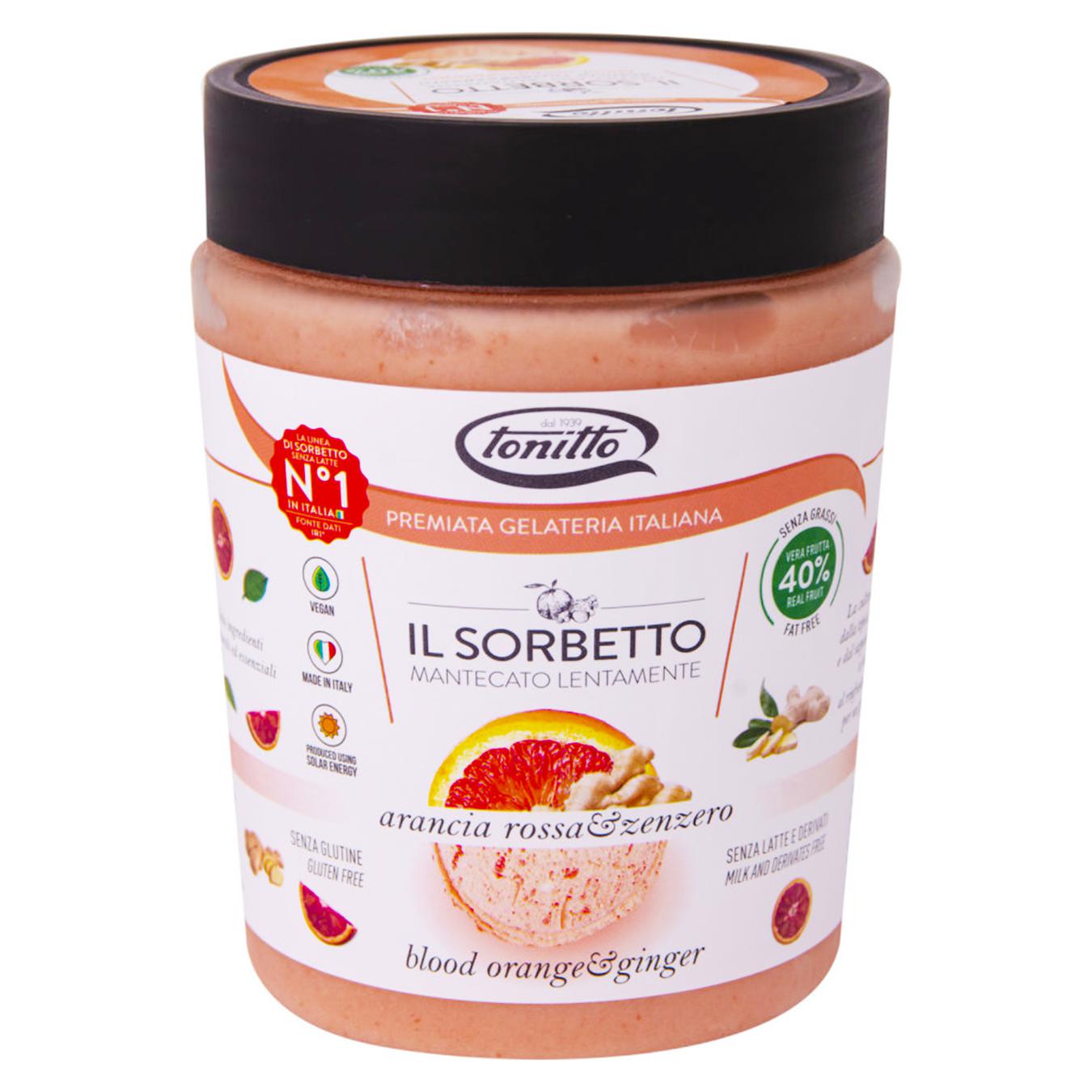 

Сорбет Tonitto IL SORBETTO 500 мл Червоний апельсин та імбир (Італія)