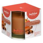 Свеча Bolsius True Scents яблоко с корицей 95/95
