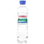 Truskavetska Sparkling Mineral Water 0.5l