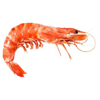 Defrosted With Head Wild Shrimp 21-30 - buy, prices for NOVUS - photo 1