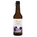 Jiva Black Berry Kombucha 0.33l
