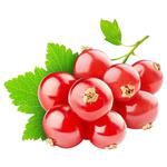redcurrant Without brand fresh