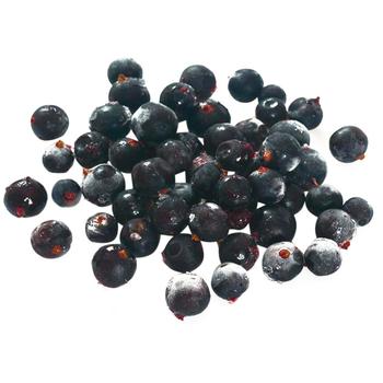 Fresh Frozen Black Currant - buy, prices for Tavria V - photo 1