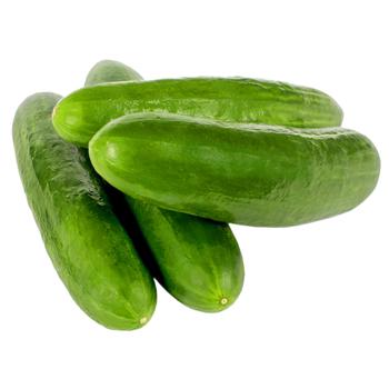 Cucumber Ukraine - buy, prices for Tavria V - photo 1