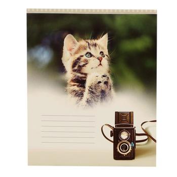 Polihrafist Line Notebook 18 Sheets - buy, prices for Tavria V - photo 1