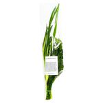 Vitamin Bundle 90g