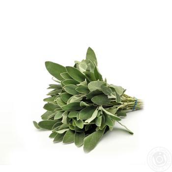 Sage 50g - buy, prices for Auchan - photo 2