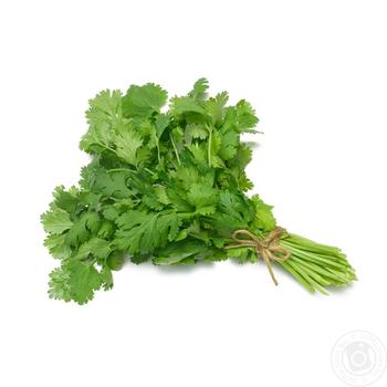 Cilantro