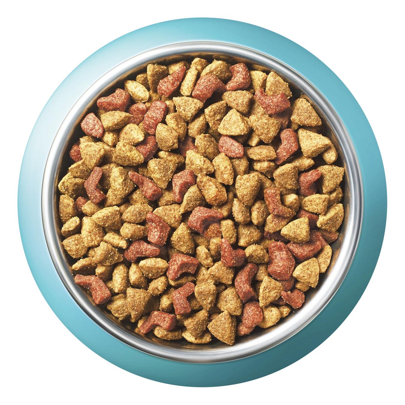 

Корм Purina ONE DualNature С курицей со спирулиной для взрослых кошек 750г