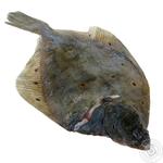 Fish flounder fresh