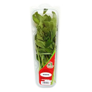 Sage 50g - buy, prices for Auchan - photo 1