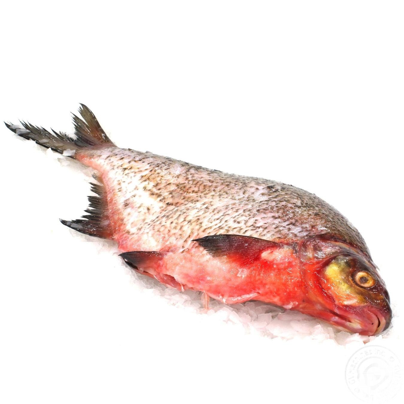 

Лящ патраний чищений охол.