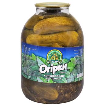 Огурцы Дари Ланів 3кг