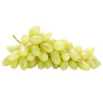 Women's Fingers Grape