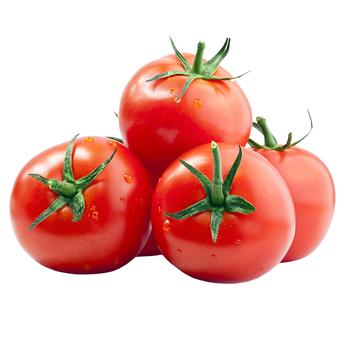 Salad Tomato