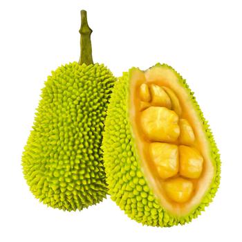 Kwitne Jackfruit 150g