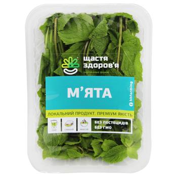 Mint 100g - buy, prices for Auchan - photo 1