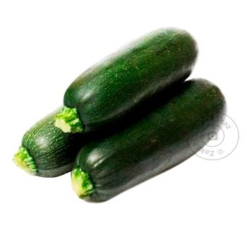 Zucchini - buy, prices for METRO - photo 2