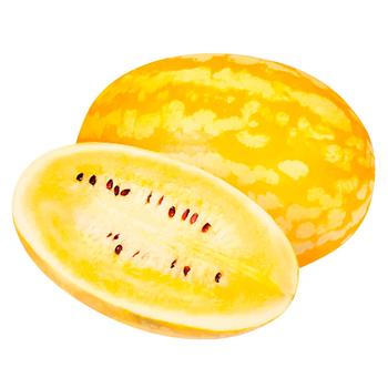 Jaco Watermelon