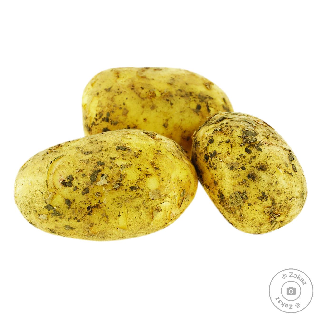 

Картофель молодой Импорт весовой
