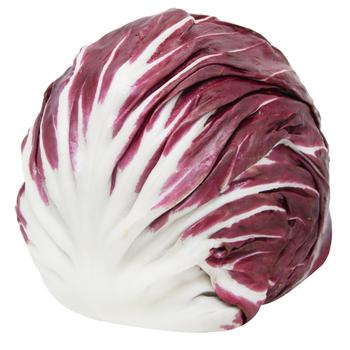 Radicchio Lettuce, pc - buy, prices for MasterZoo - photo 1