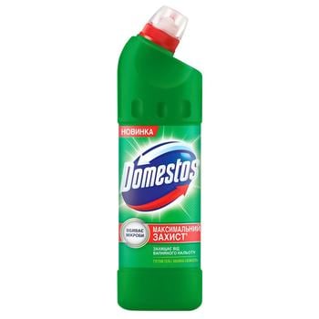 Средство универсальное Domestos Хвойная свежесть 1л