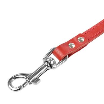 Pluto №15 Leash - buy, prices for - photo 2