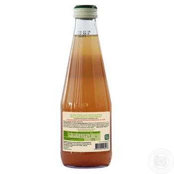 Сік Galicia Яблучно з м`ятою с/п 0.3л x6 купити, ціни на МегаМаркет - фото 2