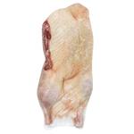 Slavna Kachka Frozen Duck 2 Category