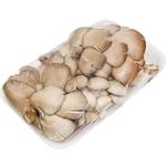 Packed Oyster Mushrooms 400g
