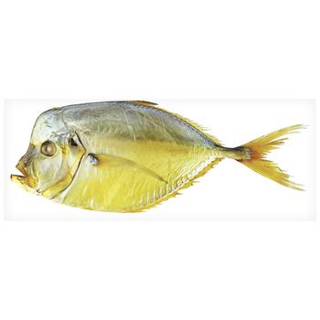 Ukrainska Zirka Cold Smoked Moonfish